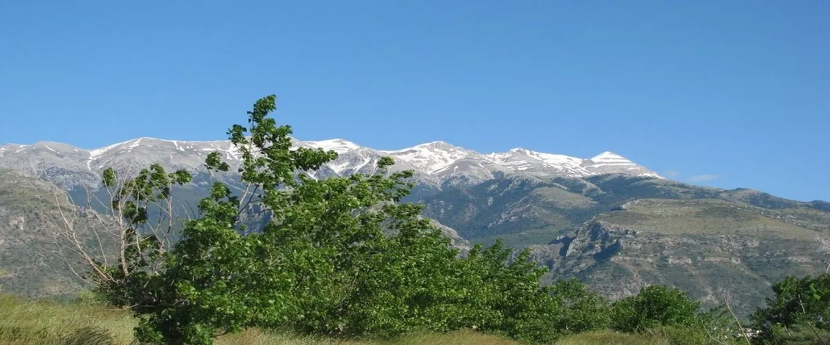 Foto 3 Archaeological Site of the Acropolis of Sparta