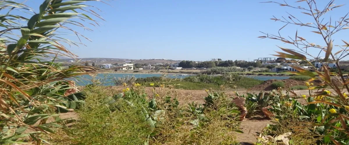 Foto 5 Lageri beach