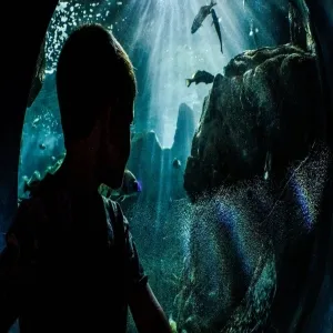 Foto de CRETAquarium