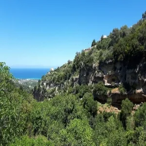 Foto de Gorge of Mili