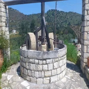 Foto de Paraschakis Olive Oil - Crete