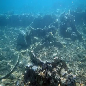 Foto de The Sunken City - Ancient Epidaurus