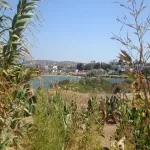 Foto 5 Lageri beach